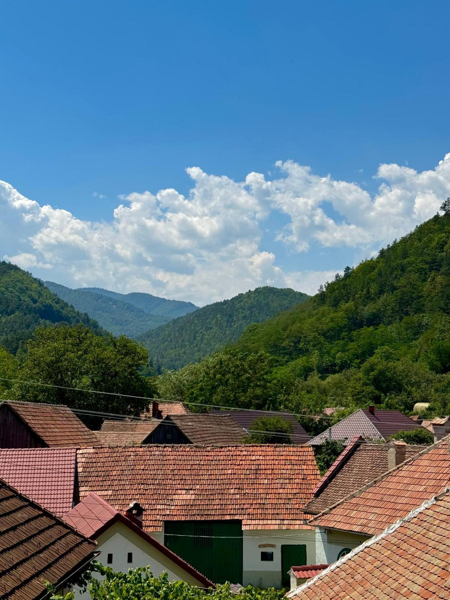 Casa Presecan Tălmaciu Eksteriør billede